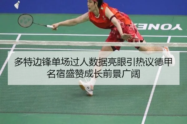 多特边锋单场过人数据亮眼引热议德甲名宿盛赞成长前景广阔